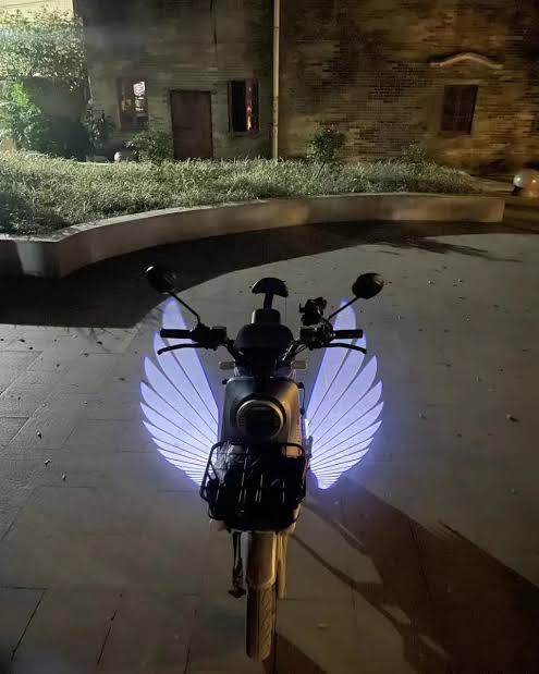 Wings light universal for bike and car (pack of 2)